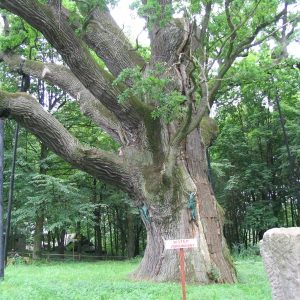3 DNI SKARBY ZIEMI ŚWIĘTOKRZYSKIEJ TERMIN: CAŁY ROK (DO UZGODNIENIA)