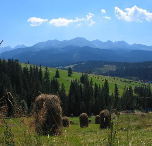 Zdjęcie kierunku: Zakopane – Bukowina Tatrzańska – Wieliczka