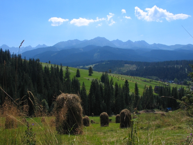 Zdjęcie kierunku: Zakopane – Bukowina Tatrzańska – Wieliczka